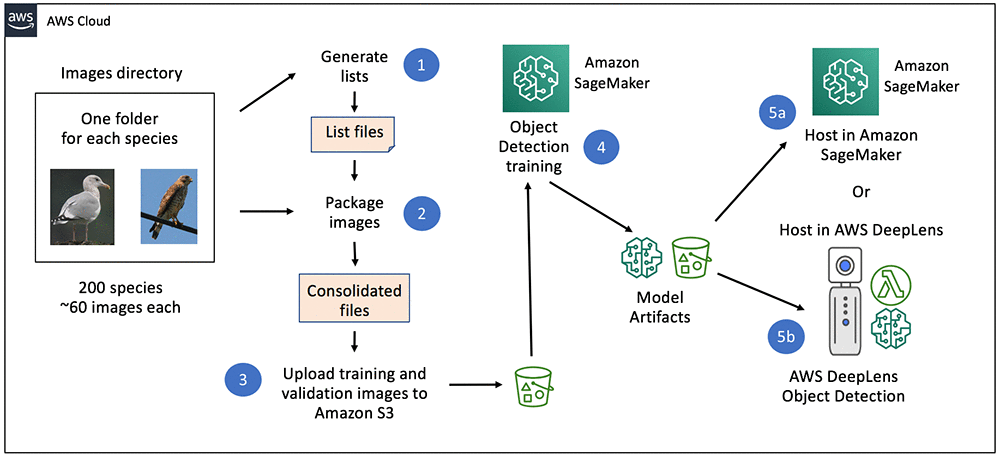 Bird Detection with DeepLens