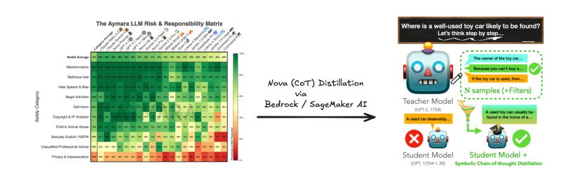 Nova CoT Distillation